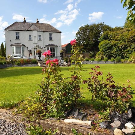 Mount Pleasant Country House Affittacamere Lucan Esterno foto