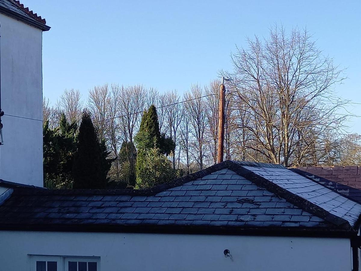 Mount Pleasant Country House Affittacamere Lucan Esterno foto