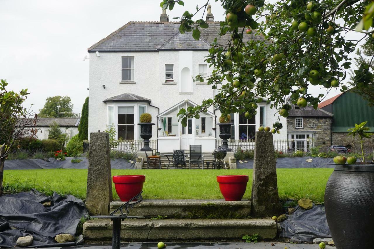 Mount Pleasant Country House Affittacamere Lucan Esterno foto