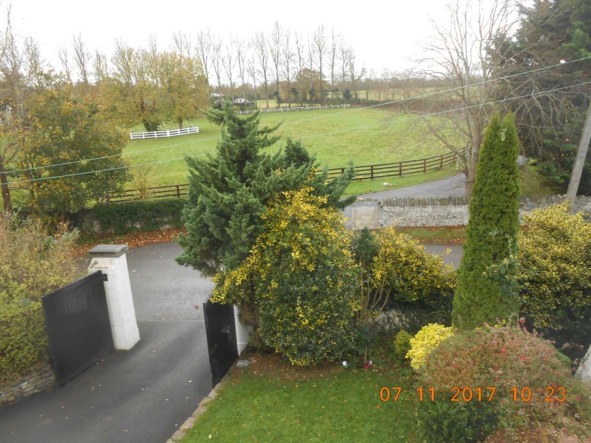 Mount Pleasant Country House Affittacamere Lucan Esterno foto